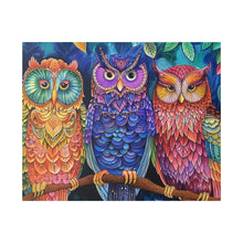 Load image into Gallery viewer, Colorful Owls