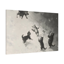 Load image into Gallery viewer, Cats at Play