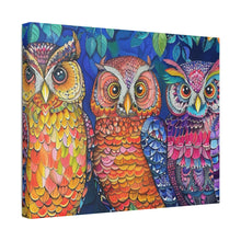 Load image into Gallery viewer, Colorful Owls