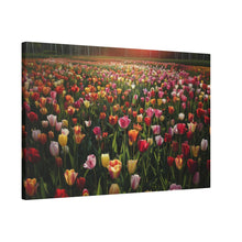 Load image into Gallery viewer, Tulips