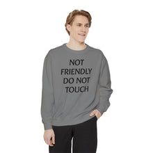 Load image into Gallery viewer, Not Friendly