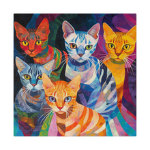 Load image into Gallery viewer, Colorful Cat