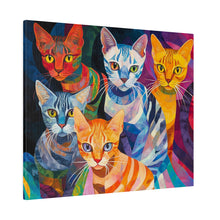 Load image into Gallery viewer, Colorful Cat