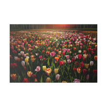 Load image into Gallery viewer, Tulips