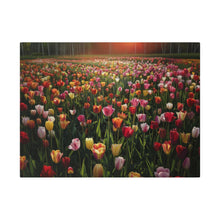 Load image into Gallery viewer, Tulips
