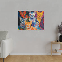 Load image into Gallery viewer, Colorful Cat