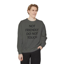 Load image into Gallery viewer, Not Friendly