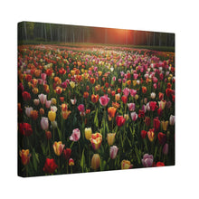 Load image into Gallery viewer, Tulips