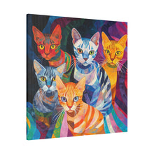 Load image into Gallery viewer, Colorful Cat