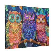Load image into Gallery viewer, Colorful Owls