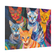 Load image into Gallery viewer, Colorful Cat