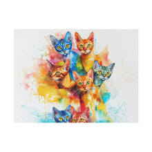 Load image into Gallery viewer, Colorful Cat