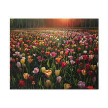 Load image into Gallery viewer, Tulips