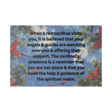 Load image into Gallery viewer, Red Bird Visit