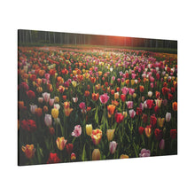 Load image into Gallery viewer, Tulips