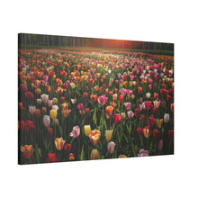 Load image into Gallery viewer, Tulips
