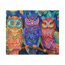 Load image into Gallery viewer, Colorful Owls