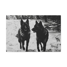 Load image into Gallery viewer, German Shephard Canvas Art