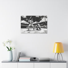 Load image into Gallery viewer, Baseball