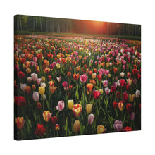 Load image into Gallery viewer, Tulips