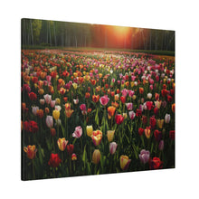 Load image into Gallery viewer, Tulips
