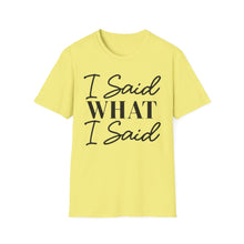 Load image into Gallery viewer, I said what I said