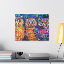 Load image into Gallery viewer, Colorful Owls
