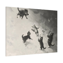 Load image into Gallery viewer, Cats at Play