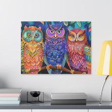 Load image into Gallery viewer, Colorful Owls