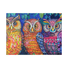 Load image into Gallery viewer, Colorful Owls