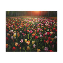 Load image into Gallery viewer, Tulips