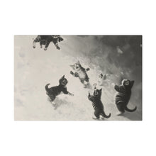 Load image into Gallery viewer, Cats at Play