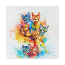 Load image into Gallery viewer, Colorful Cat
