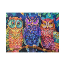 Load image into Gallery viewer, Colorful Owls