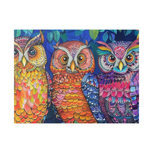 Load image into Gallery viewer, Colorful Owls