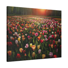 Load image into Gallery viewer, Tulips