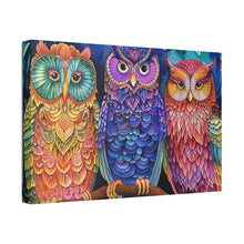 Load image into Gallery viewer, Colorful Owls