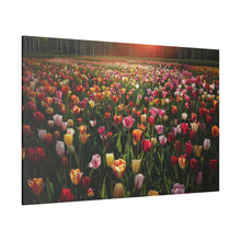 Load image into Gallery viewer, Tulips