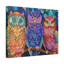 Load image into Gallery viewer, Colorful Owls