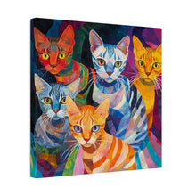Load image into Gallery viewer, Colorful Cat