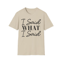 Load image into Gallery viewer, I said what I said