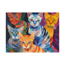 Load image into Gallery viewer, Colorful Cat