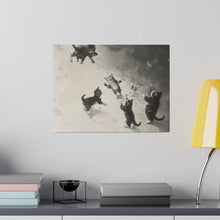Load image into Gallery viewer, Cats at Play