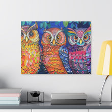 Load image into Gallery viewer, Colorful Owls