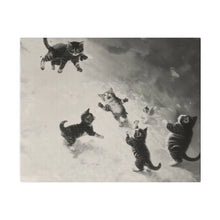 Load image into Gallery viewer, Cats at Play