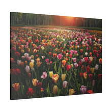 Load image into Gallery viewer, Tulips