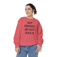 Load image into Gallery viewer, Not Friendly