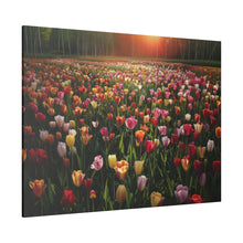 Load image into Gallery viewer, Tulips