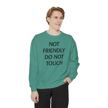 Load image into Gallery viewer, Not Friendly
