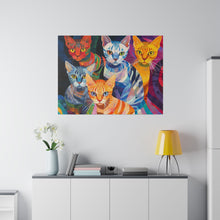 Load image into Gallery viewer, Colorful Cat